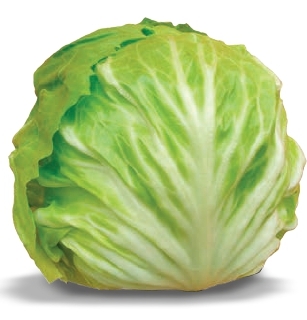 Chioggia bianca